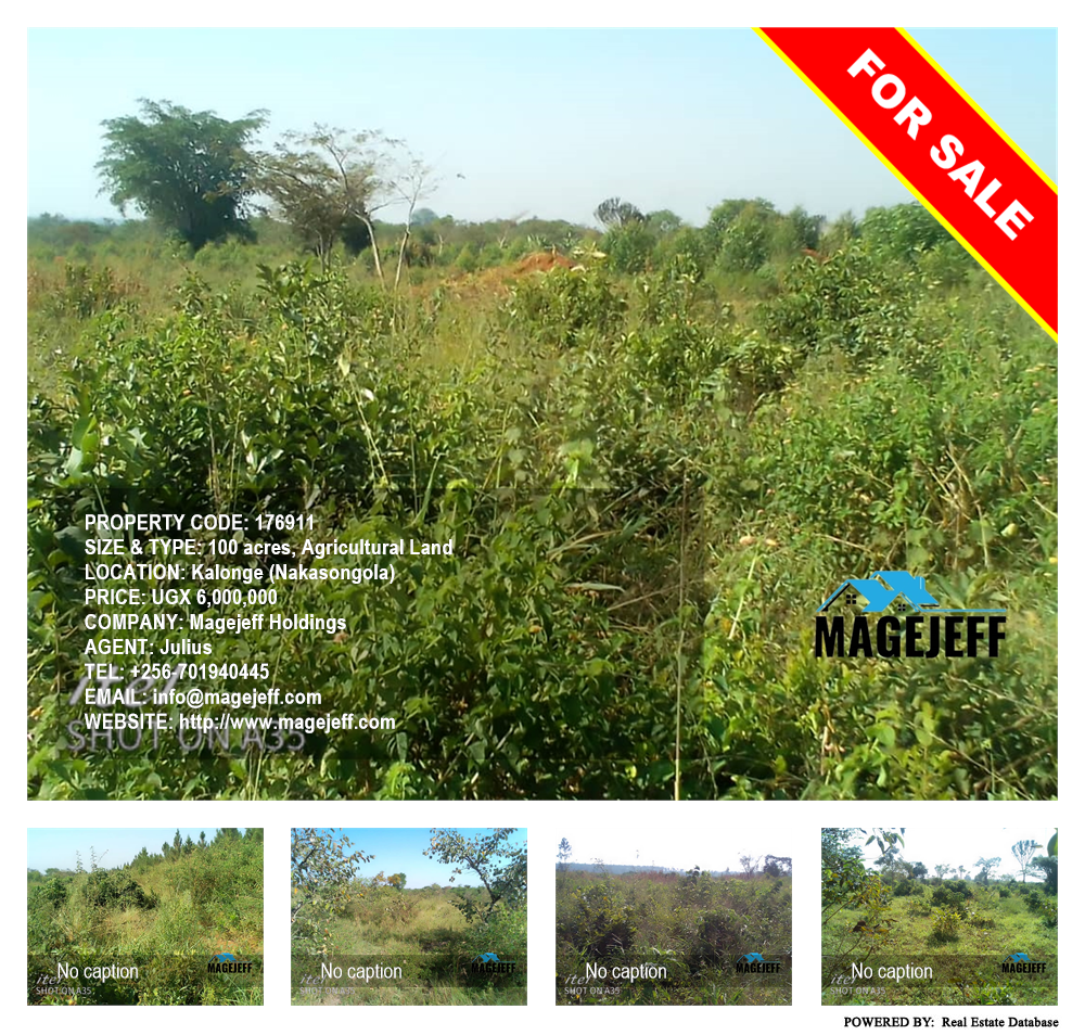 Agricultural Land  for sale in Kalonge Nakasongola Uganda, code: 176911