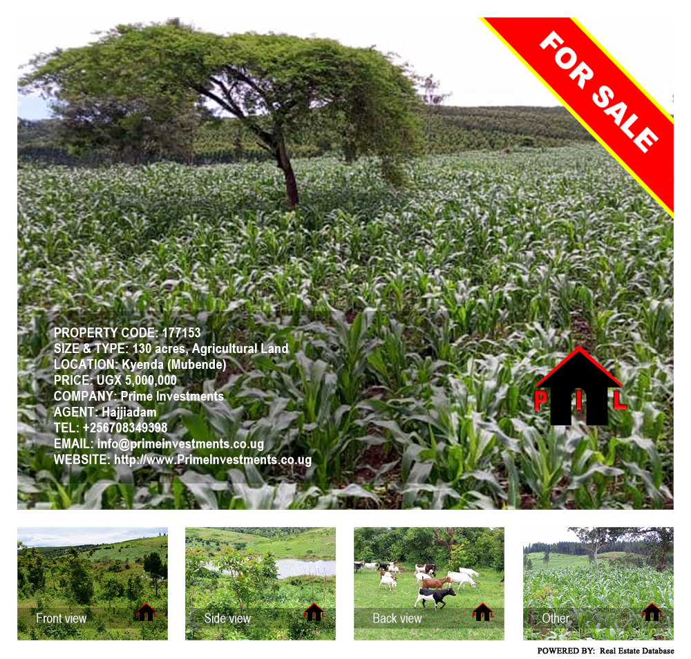 Agricultural Land  for sale in Kyenda Mubende Uganda, code: 177153