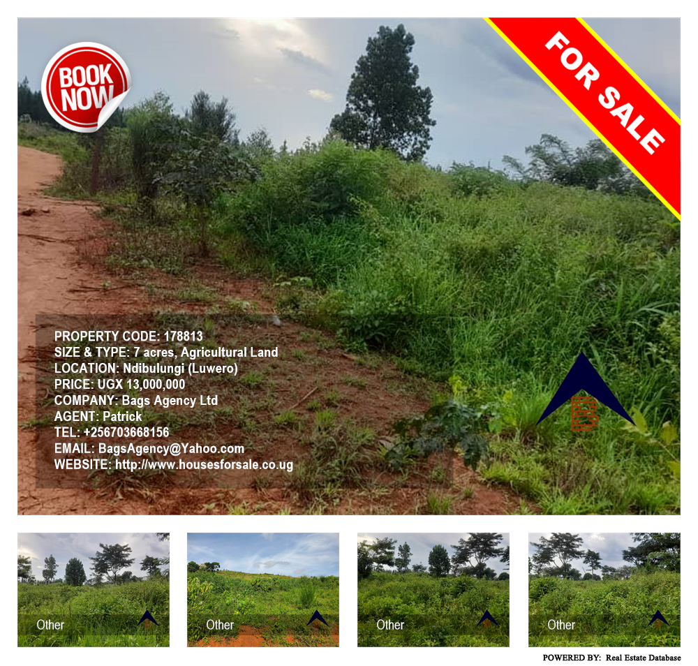Agricultural Land  for sale in Ndibulungi Luweero Uganda, code: 178813