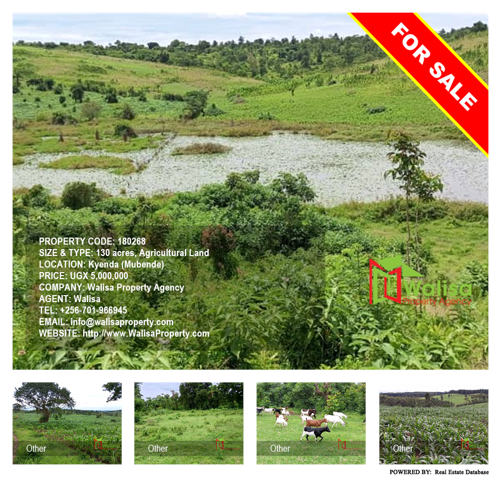Agricultural Land  for sale in Kyenda Mubende Uganda, code: 180268