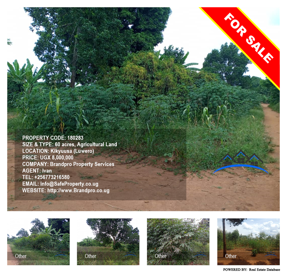 Agricultural Land  for sale in Kikyuusa Luweero Uganda, code: 180283