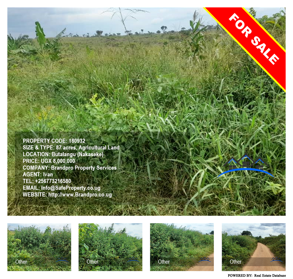 Agricultural Land  for sale in Butalangu Nakaseke Uganda, code: 180932