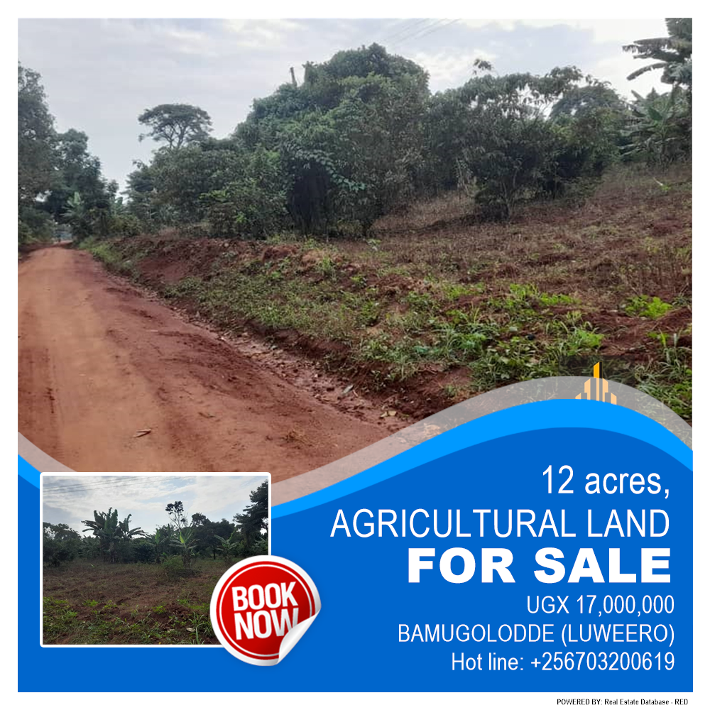 Agricultural Land  for sale in Bamugolodde Luweero Uganda, code: 181363
