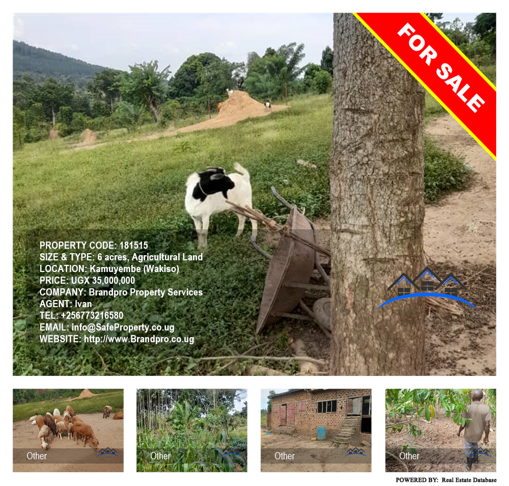 Agricultural Land  for sale in Kamuyembe Wakiso Uganda, code: 181515