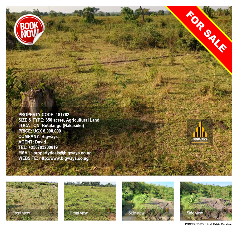 Agricultural Land  for sale in Butalangu Nakaseke Uganda, code: 181782