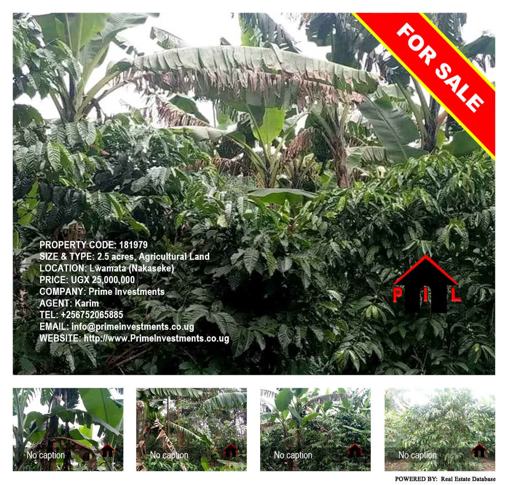 Agricultural Land  for sale in Lwamata Nakaseke Uganda, code: 181979
