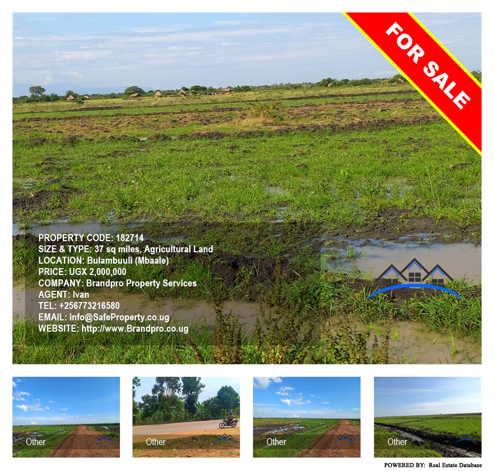 Agricultural Land  for sale in Bulambuuli Mbaale Uganda, code: 182714