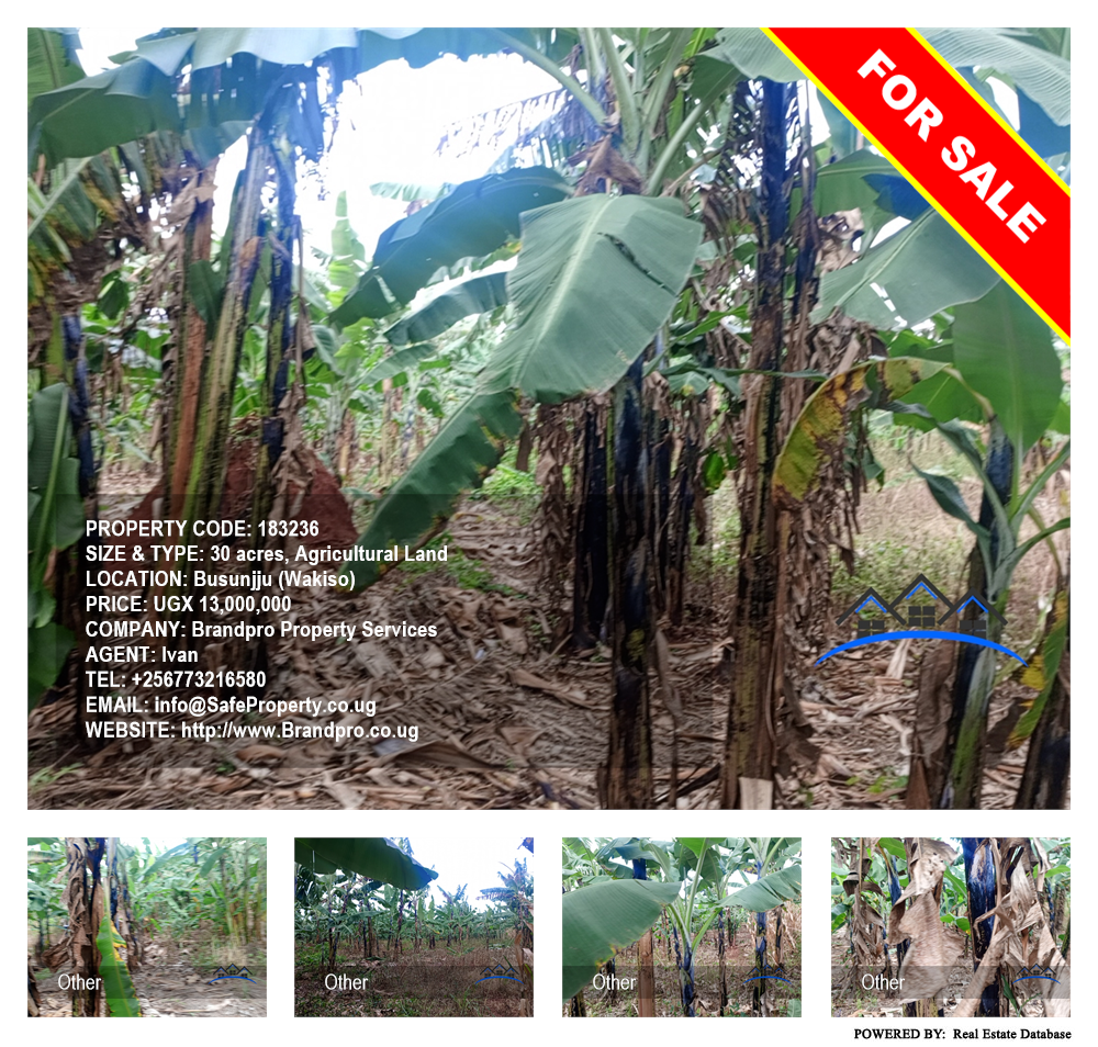 Agricultural Land  for sale in Busunjju Wakiso Uganda, code: 183236