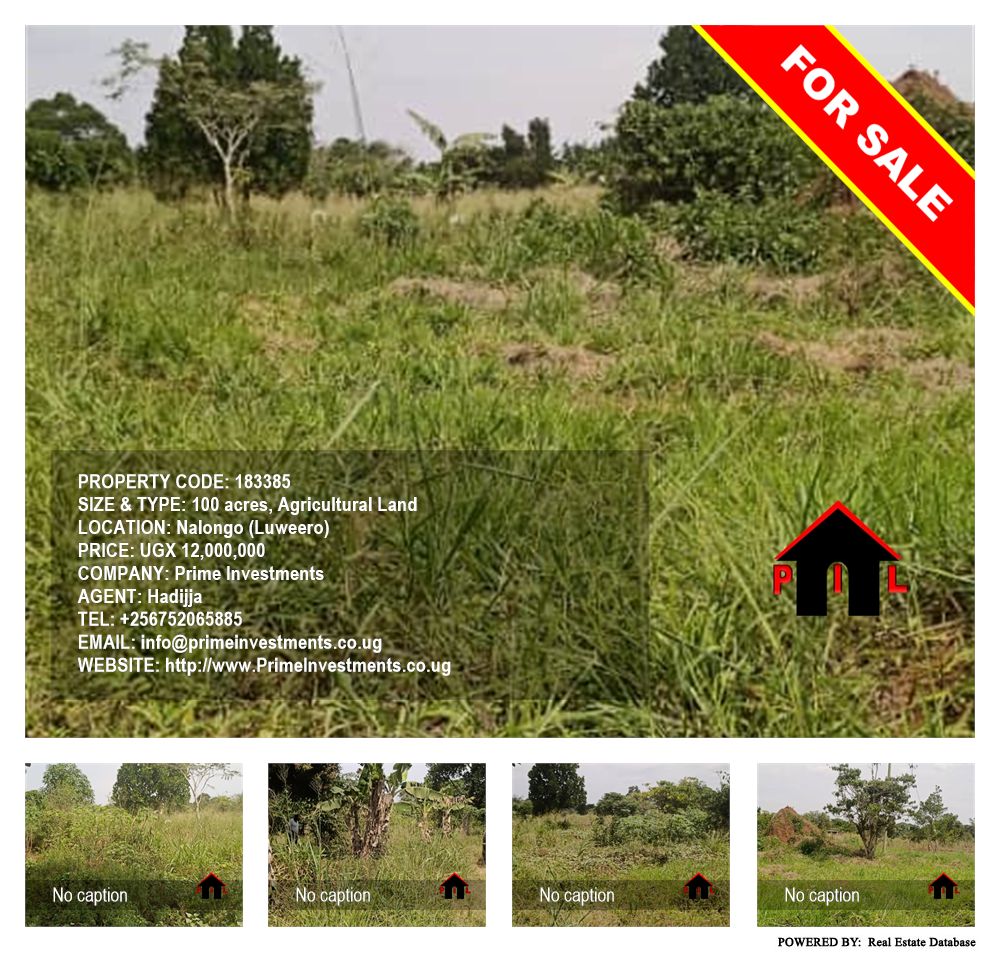 Agricultural Land  for sale in Nalongo Luweero Uganda, code: 183385