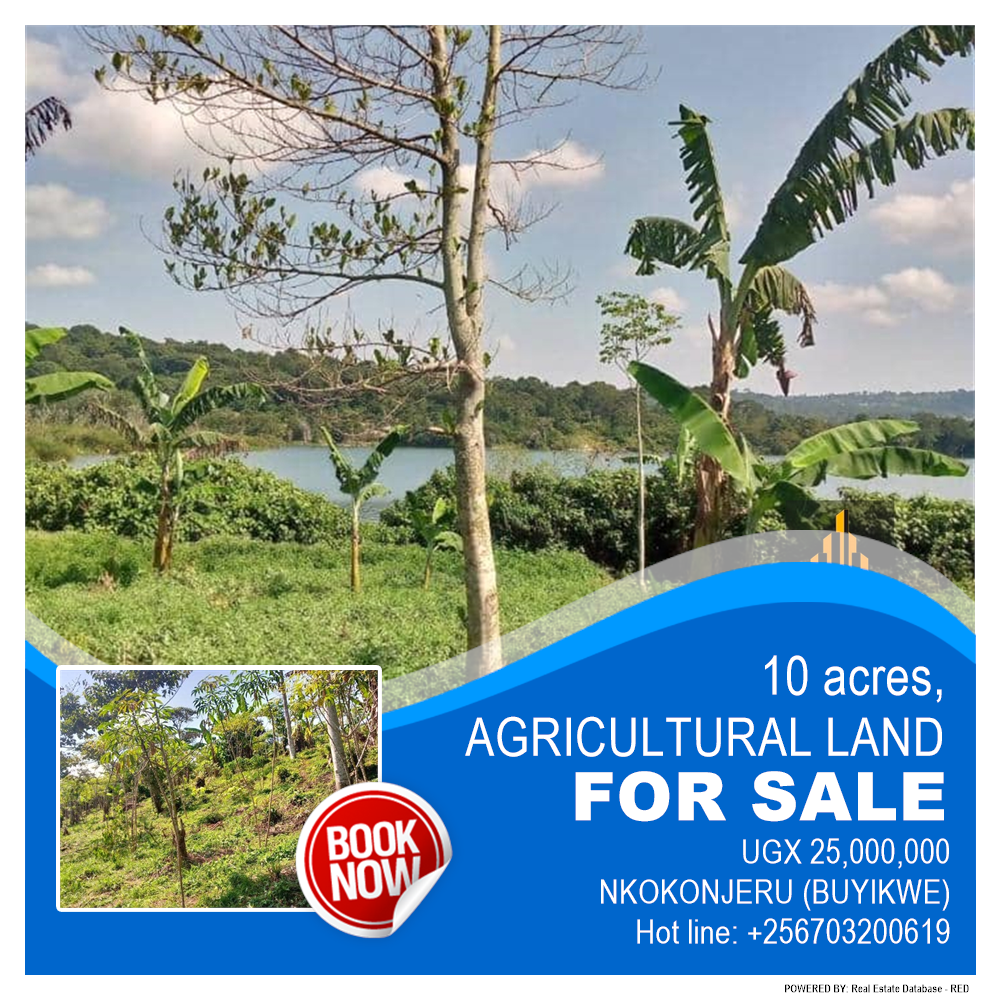 Agricultural Land  for sale in Nkokonjeru Buyikwe Uganda, code: 184583