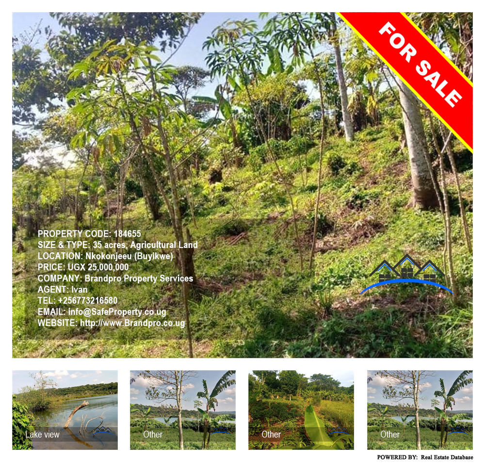 Agricultural Land  for sale in Nkokonjeru Buyikwe Uganda, code: 184655