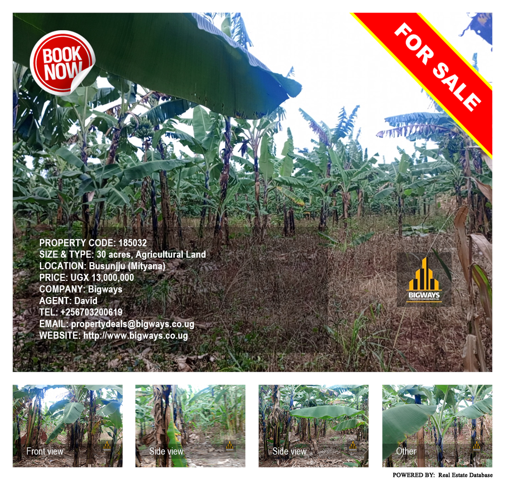 Agricultural Land  for sale in Busunjju Mityana Uganda, code: 185032