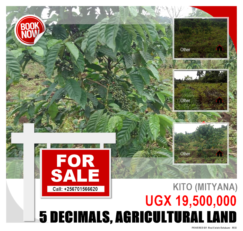 Agricultural Land  for sale in Kito Mityana Uganda, code: 185321