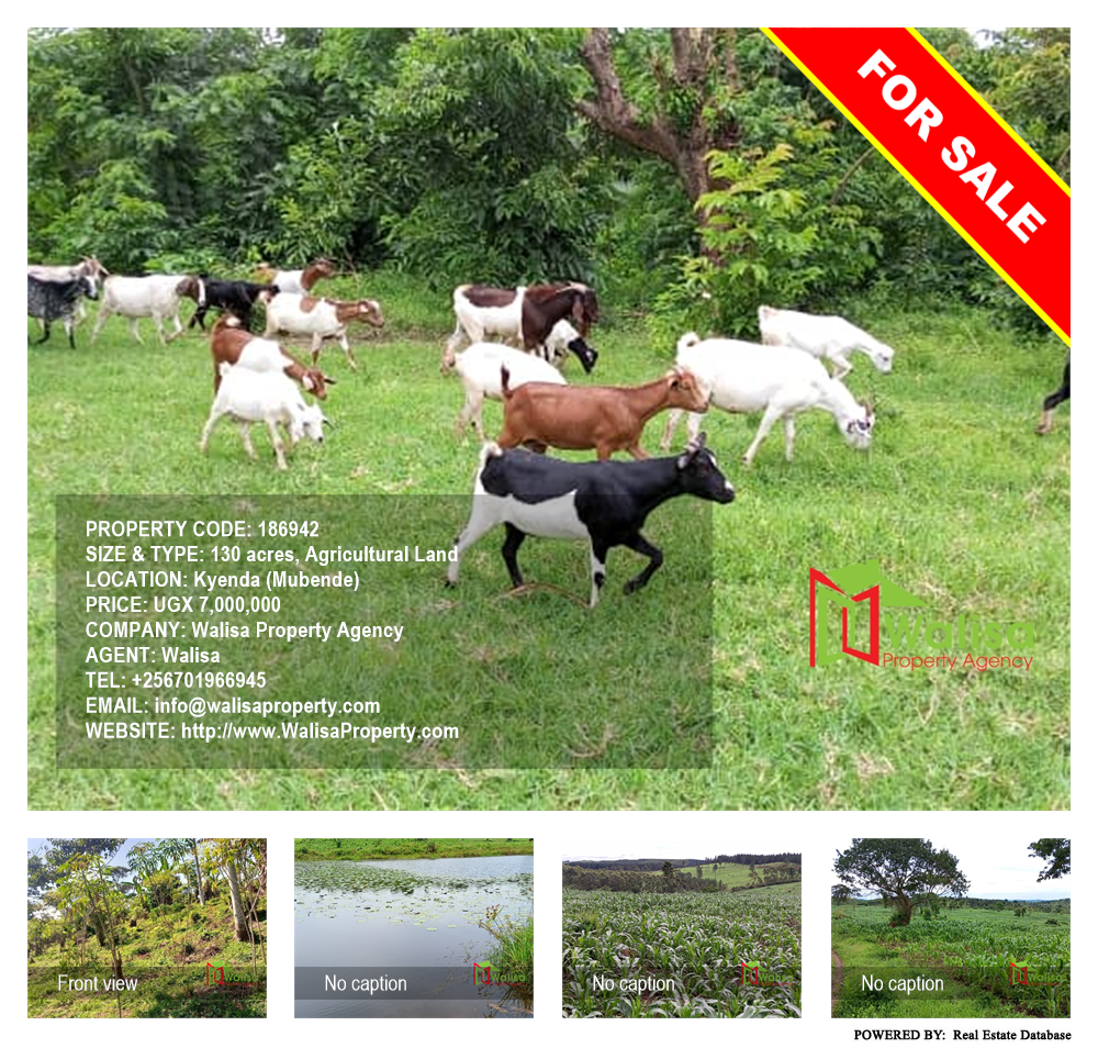 Agricultural Land  for sale in Kyenda Mubende Uganda, code: 186942