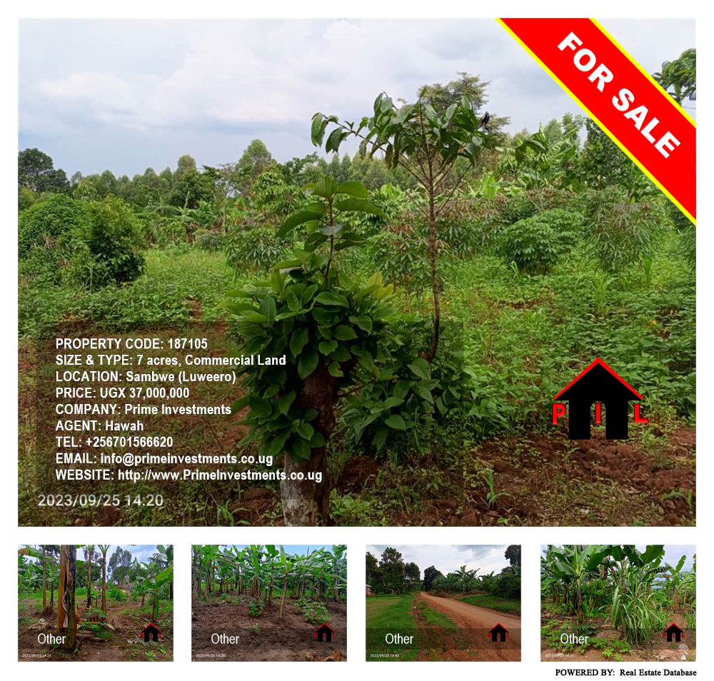 Commercial Land  for sale in Sambwe Luweero Uganda, code: 187105