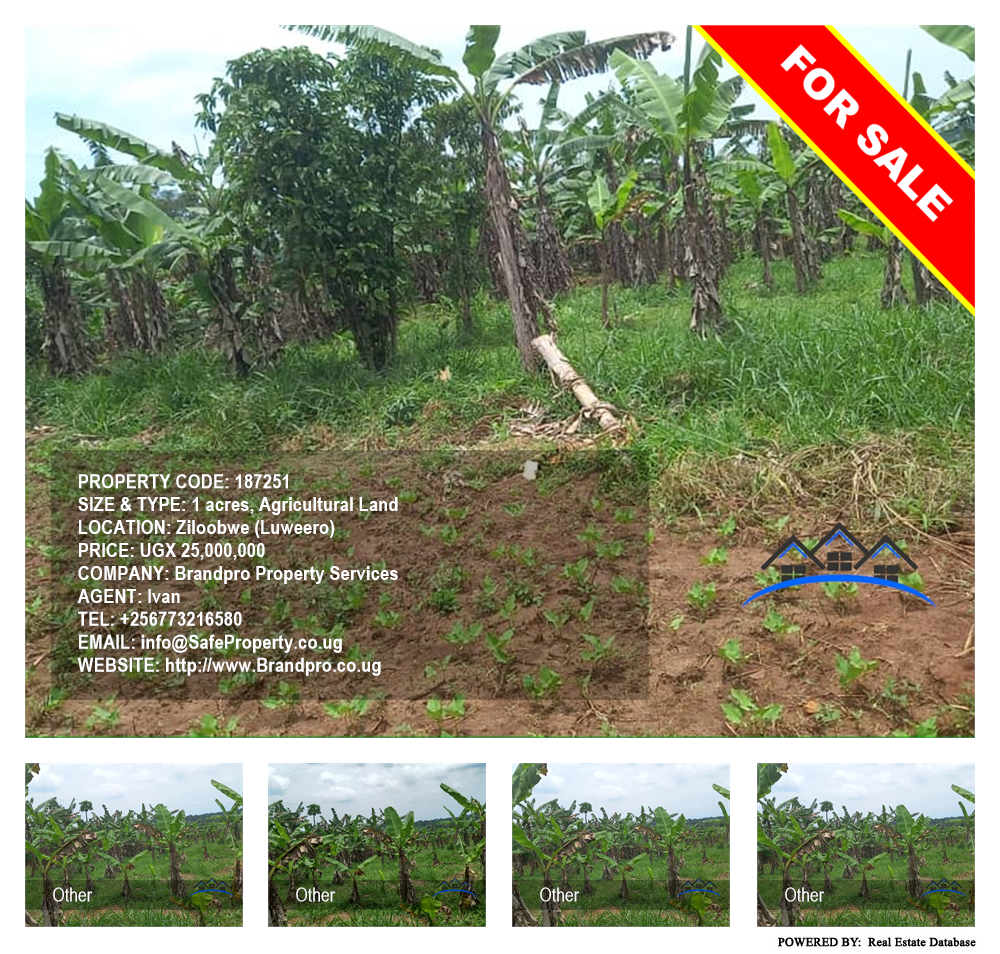 Agricultural Land  for sale in Ziloobwe Luweero Uganda, code: 187251