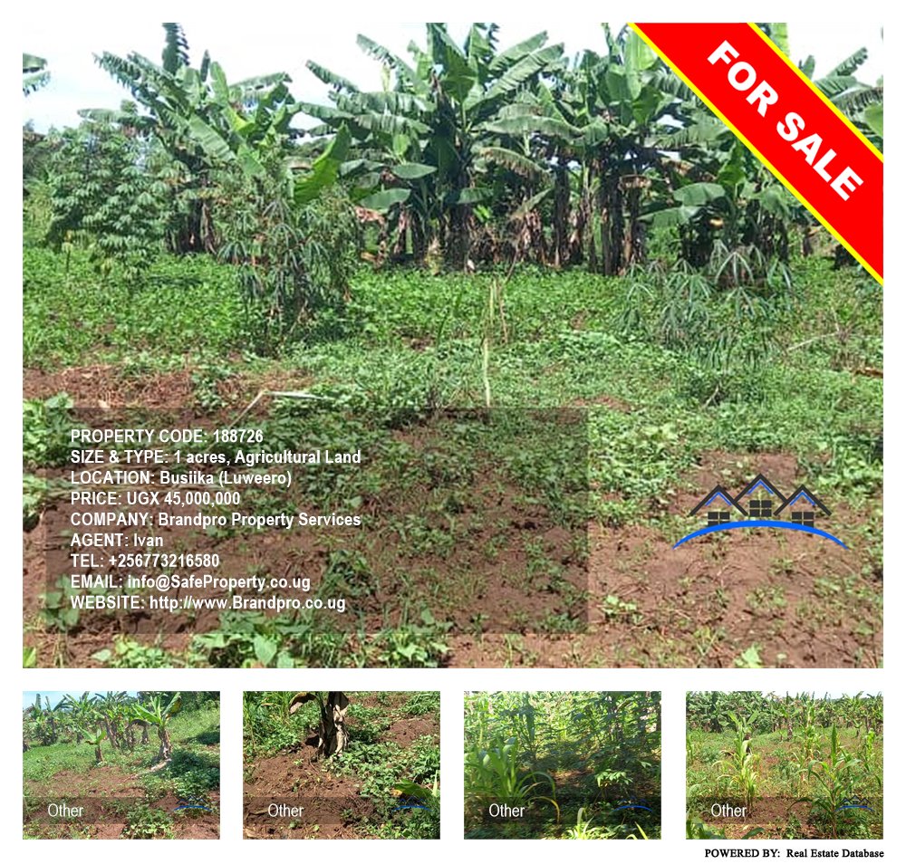 Agricultural Land  for sale in Busiika Luweero Uganda, code: 188726