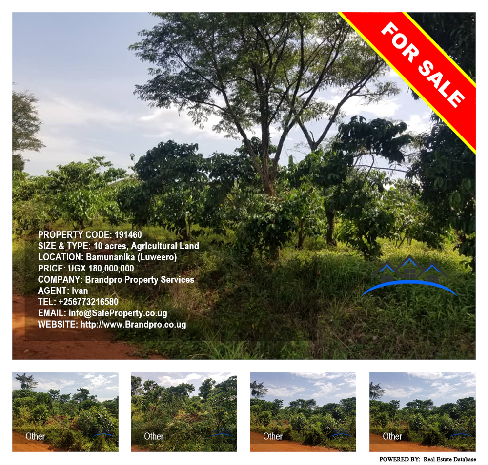 Agricultural Land  for sale in Bamunaanika Luweero Uganda, code: 191460
