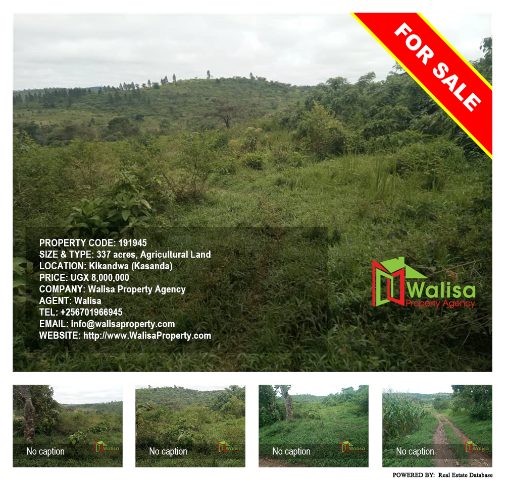 Agricultural Land  for sale in Kikandwa Kasanda Uganda, code: 191945