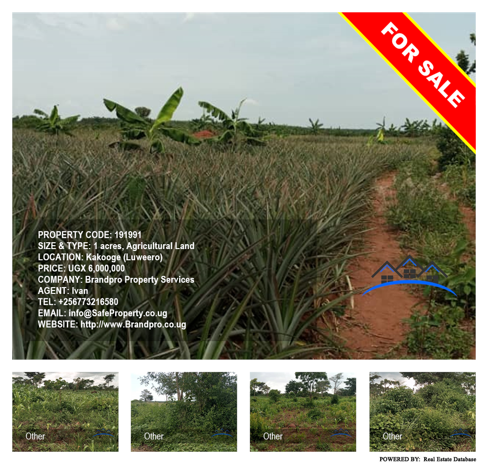 Agricultural Land  for sale in Kakooge Luweero Uganda, code: 191991