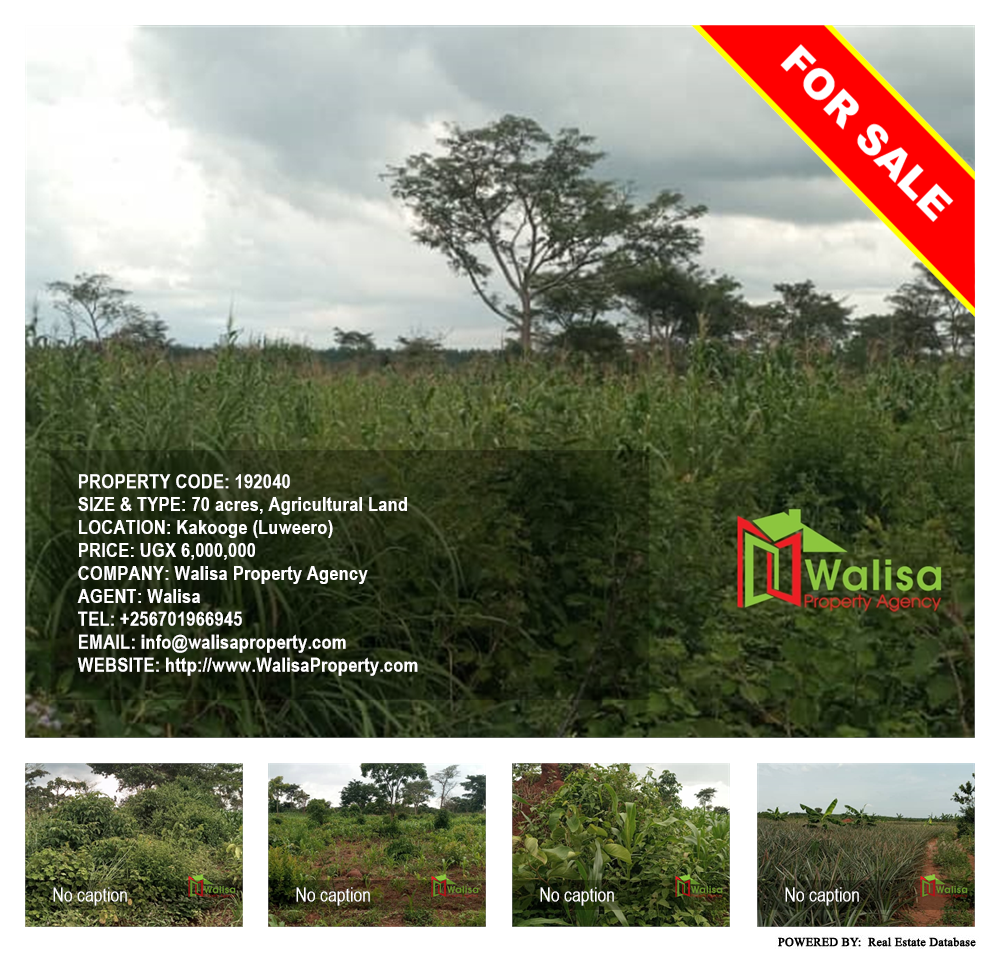 Agricultural Land  for sale in Kakooge Luweero Uganda, code: 192040