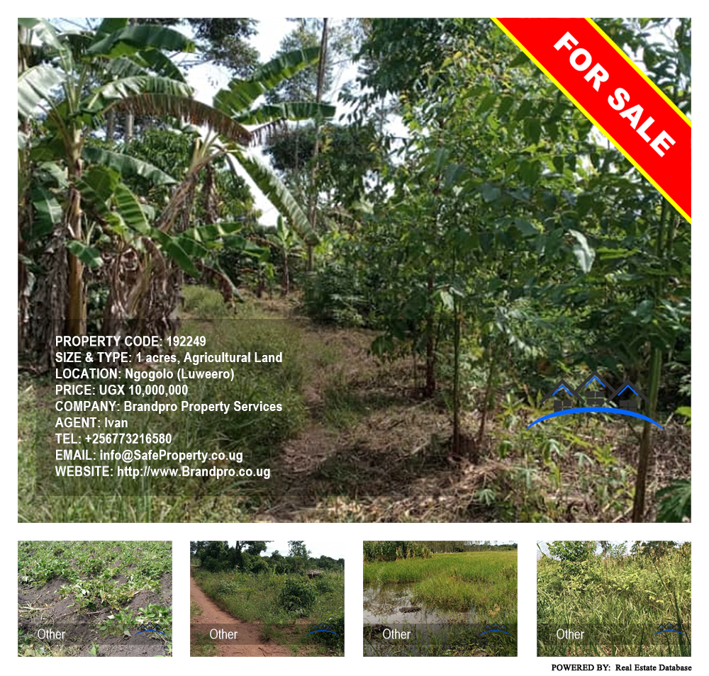 Agricultural Land  for sale in Ngogolo Luweero Uganda, code: 192249