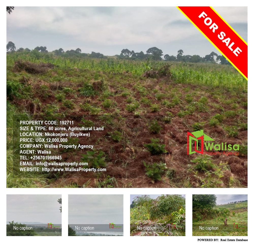 Agricultural Land  for sale in Nkokonjeru Buyikwe Uganda, code: 192711