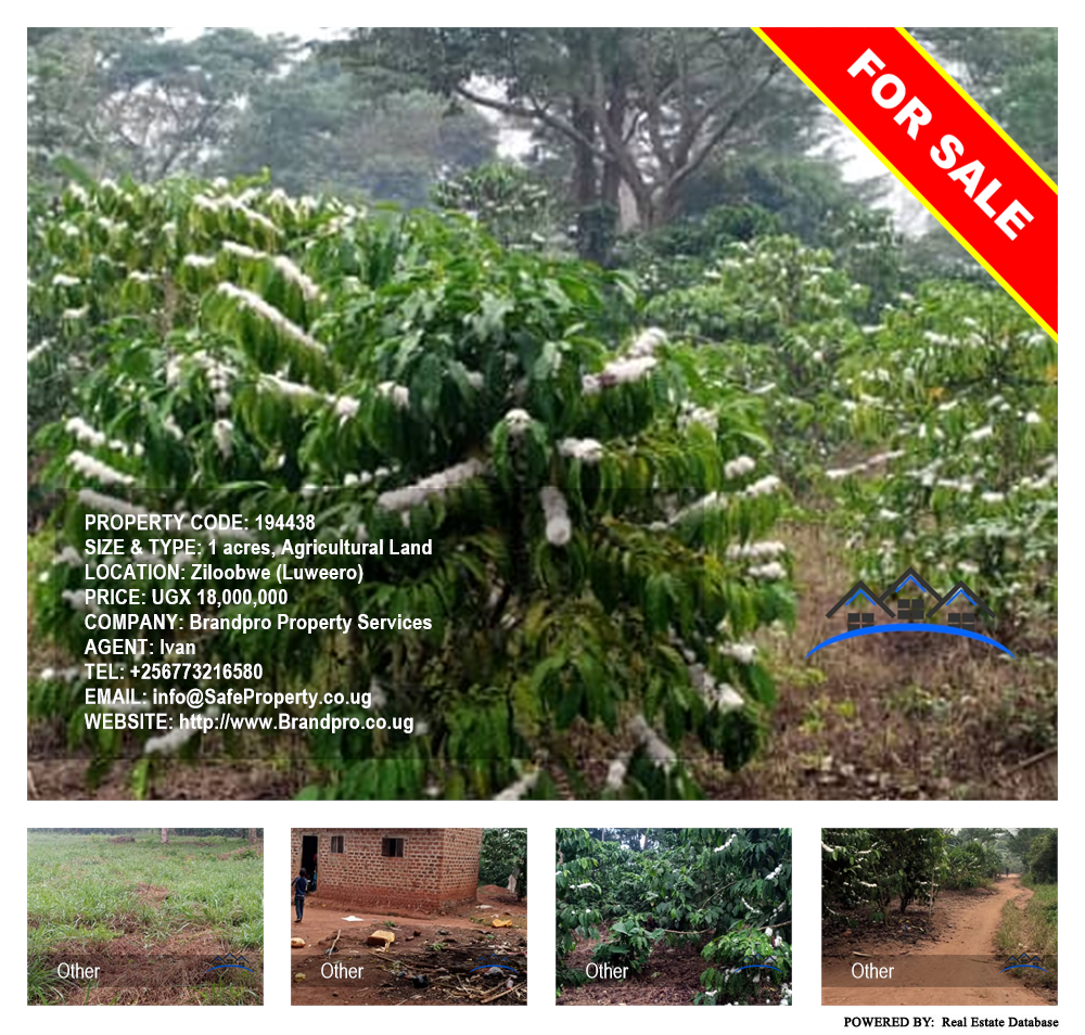 Agricultural Land  for sale in Ziloobwe Luweero Uganda, code: 194438