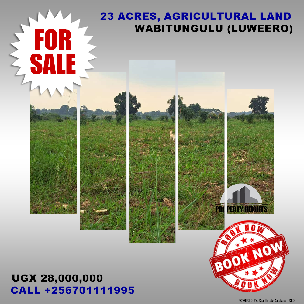 Agricultural Land  for sale in Wabitungulu Luweero Uganda, code: 198482