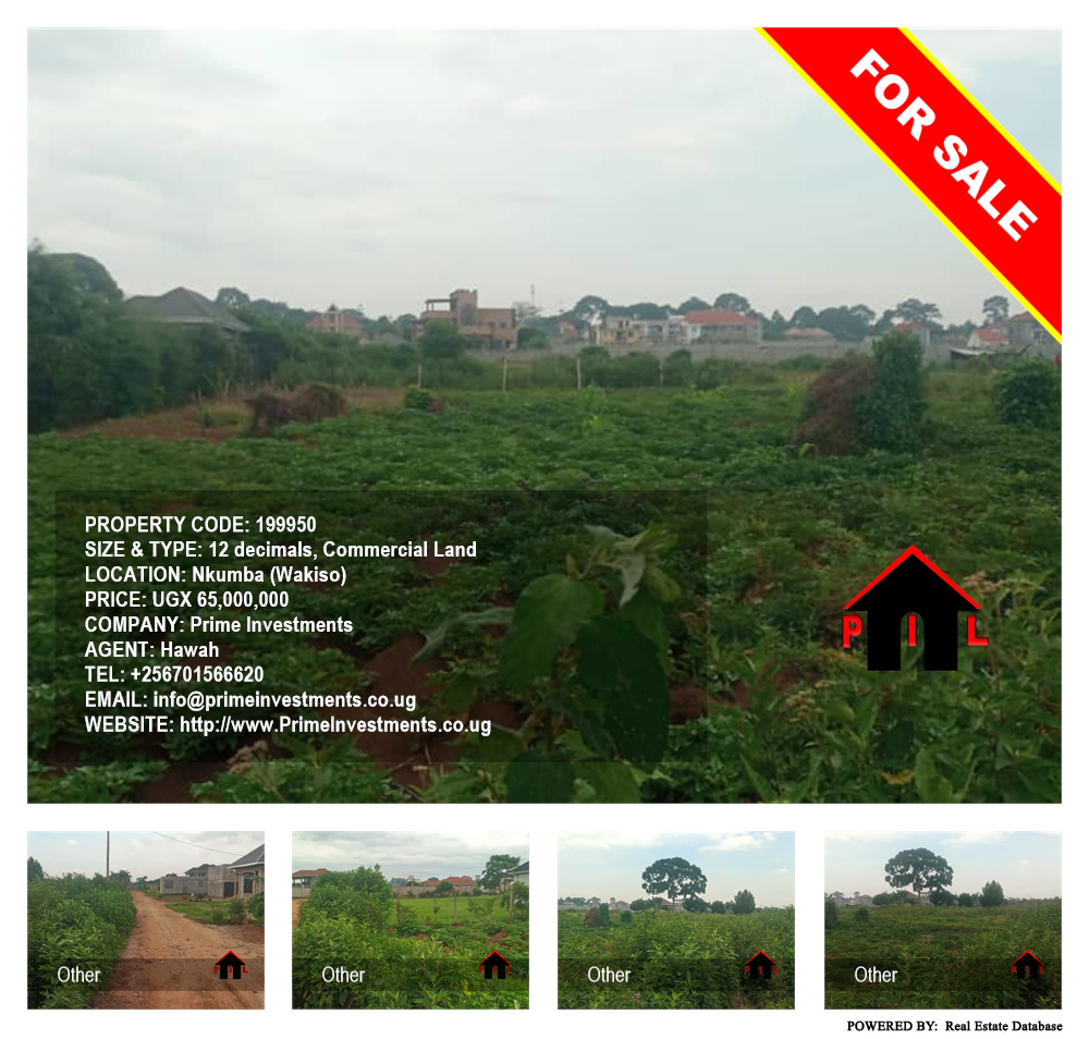 Commercial Land  for sale in Nkumba Wakiso Uganda, code: 199950