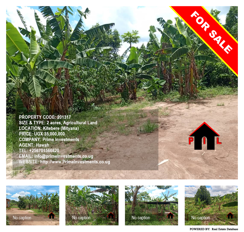 Agricultural Land  for sale in Kitebere Mityana Uganda, code: 201317