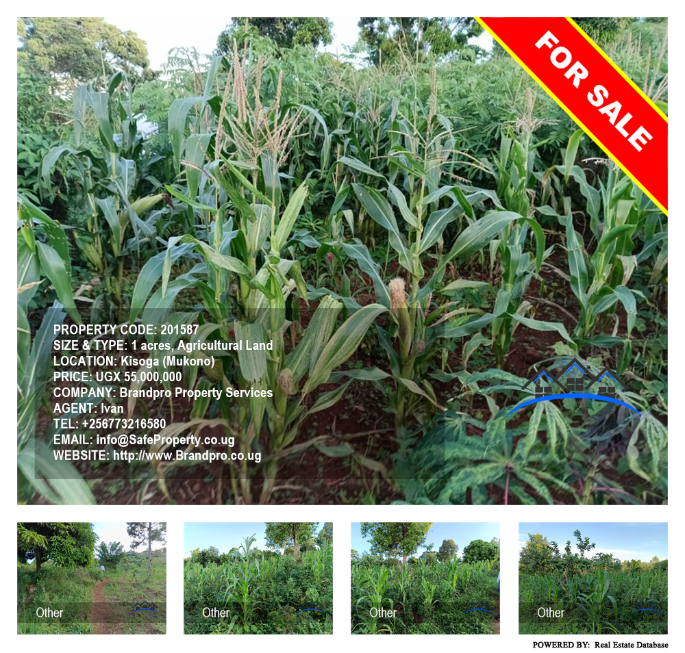 Agricultural Land  for sale in Kisoga Mukono Uganda, code: 201587