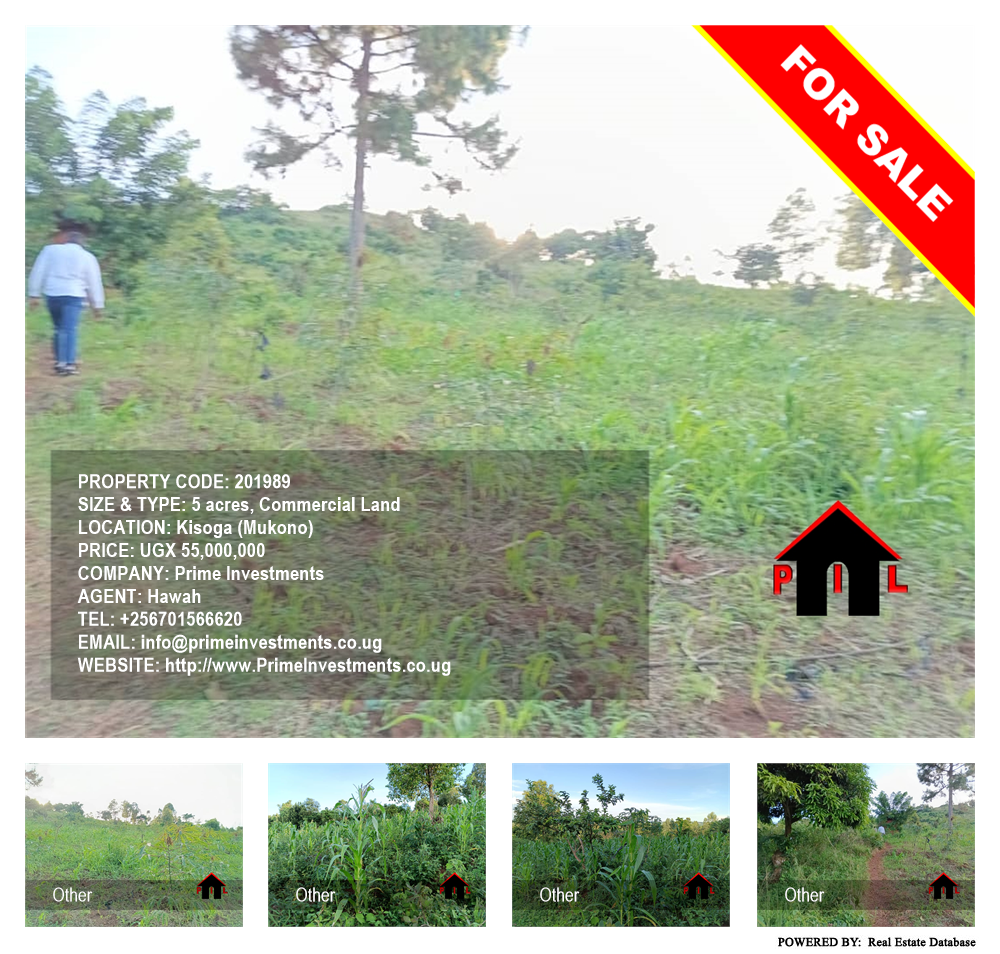 Commercial Land  for sale in Kisoga Mukono Uganda, code: 201989