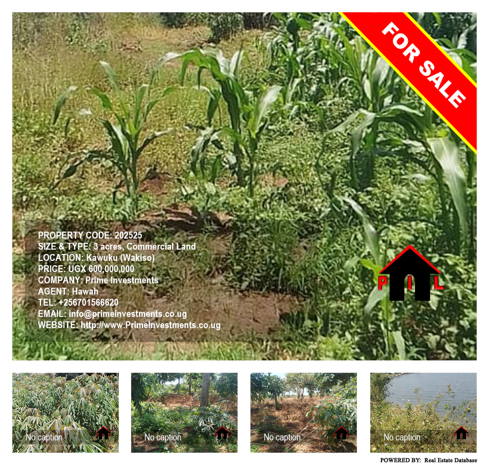 Commercial Land  for sale in Kawuku Wakiso Uganda, code: 202525