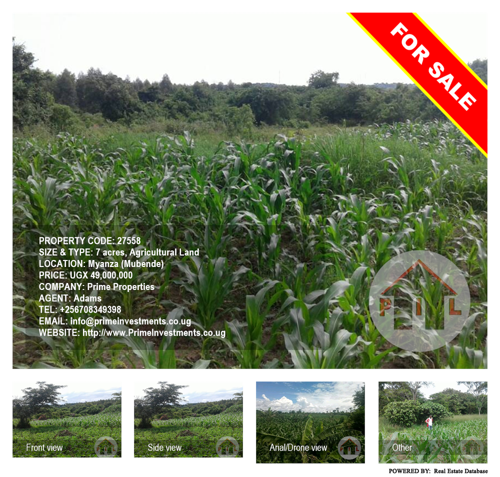 Agricultural Land  for sale in Myanza Mubende Uganda, code: 27558