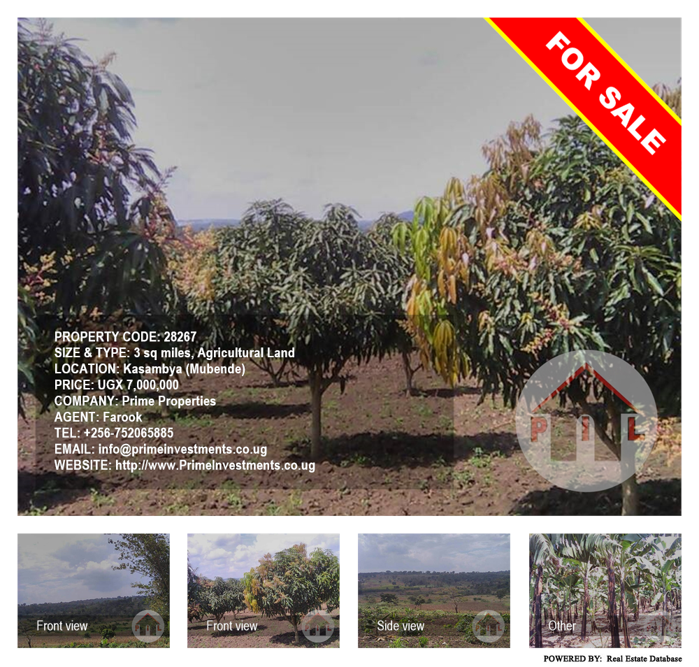 Agricultural Land  for sale in Kasambya Mubende Uganda, code: 28267