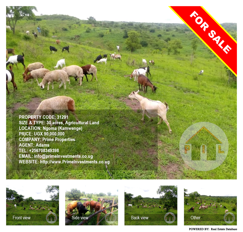 Agricultural Land  for sale in Ngoma Kamwenge Uganda, code: 31291