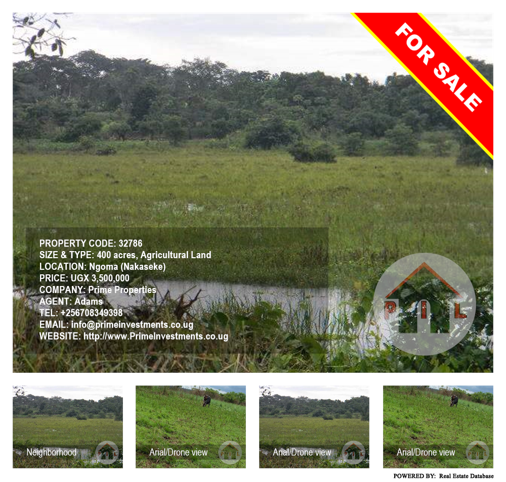 Agricultural Land  for sale in Ngoma Nakaseke Uganda, code: 32786