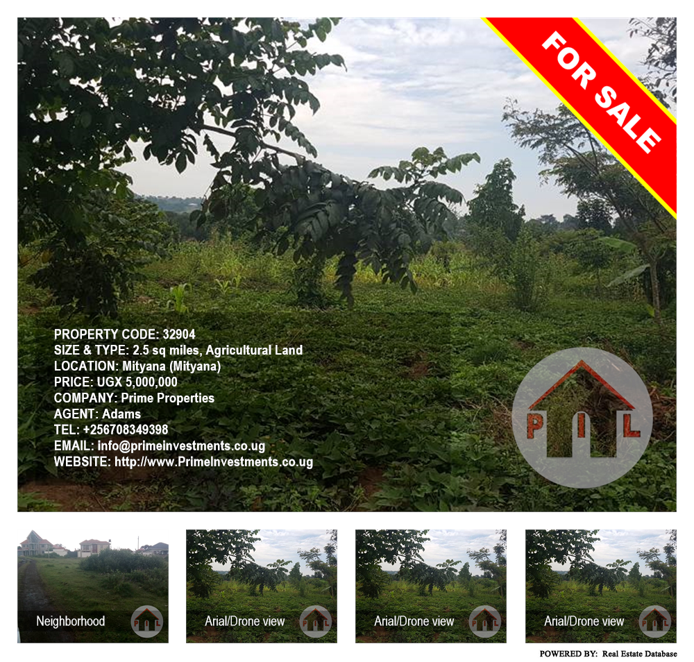 Agricultural Land  for sale in Mityana Mityana Uganda, code: 32904