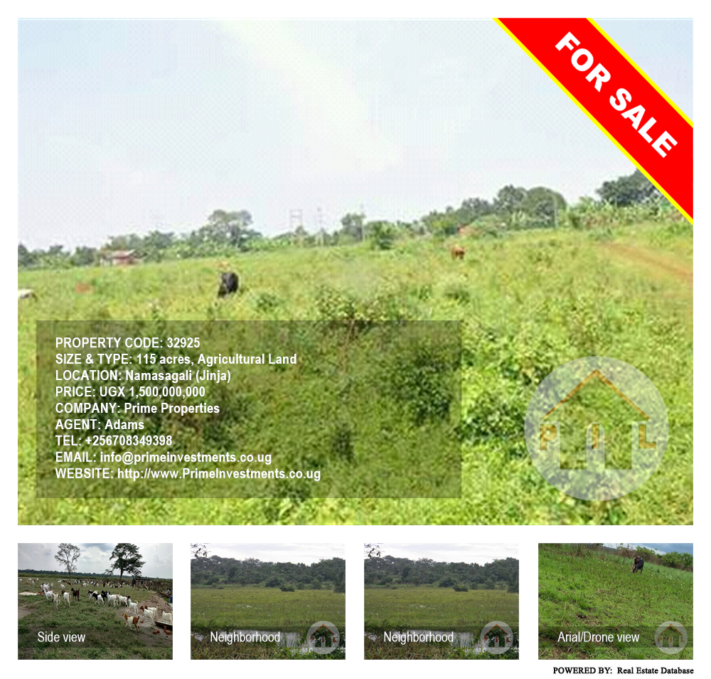 Agricultural Land  for sale in Namasagali Jinja Uganda, code: 32925