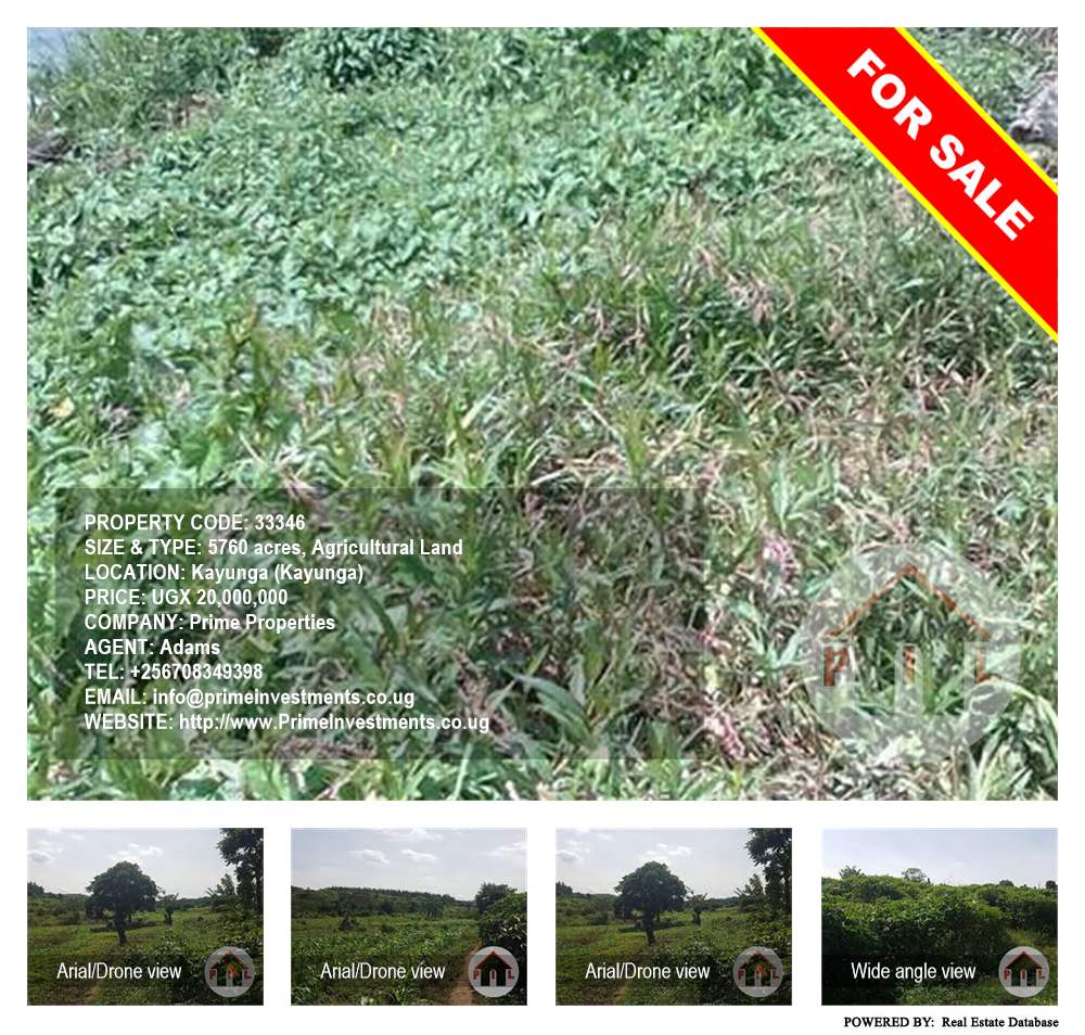 Agricultural Land  for sale in Kayunga Kayunga Uganda, code: 33346
