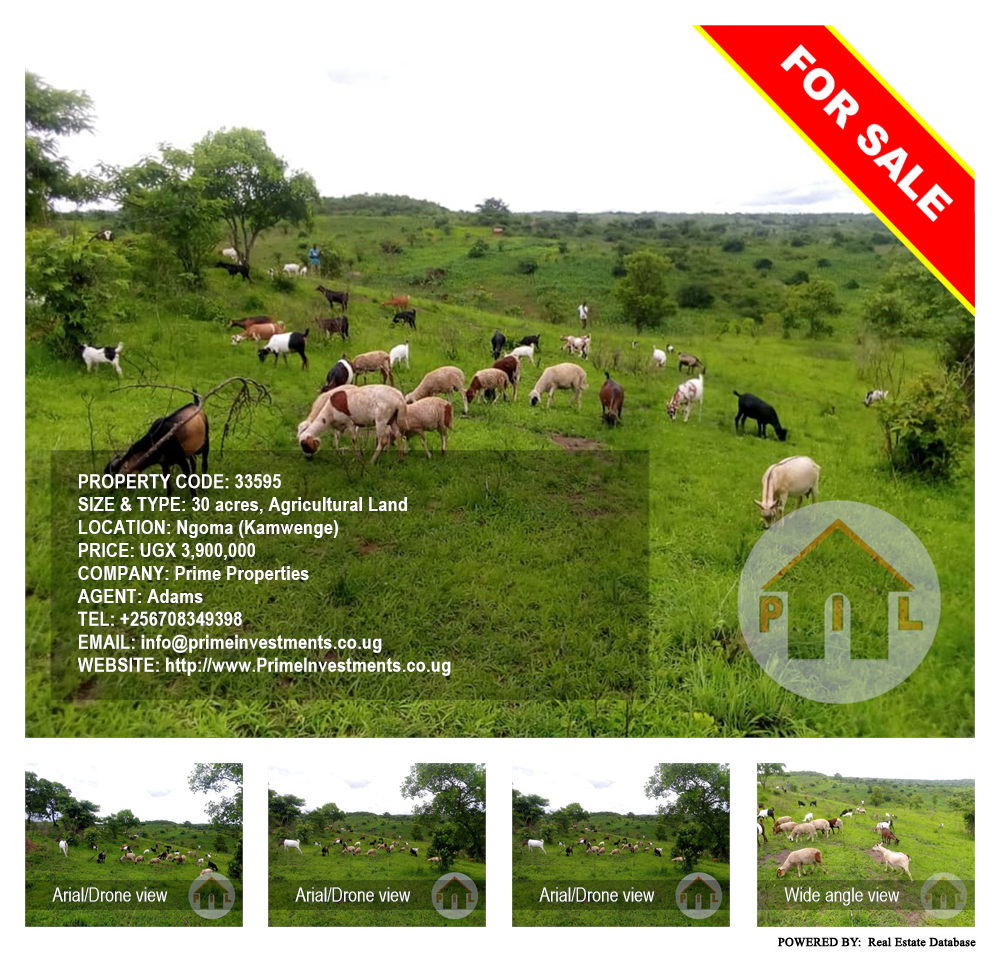 Agricultural Land  for sale in Ngoma Kamwenge Uganda, code: 33595