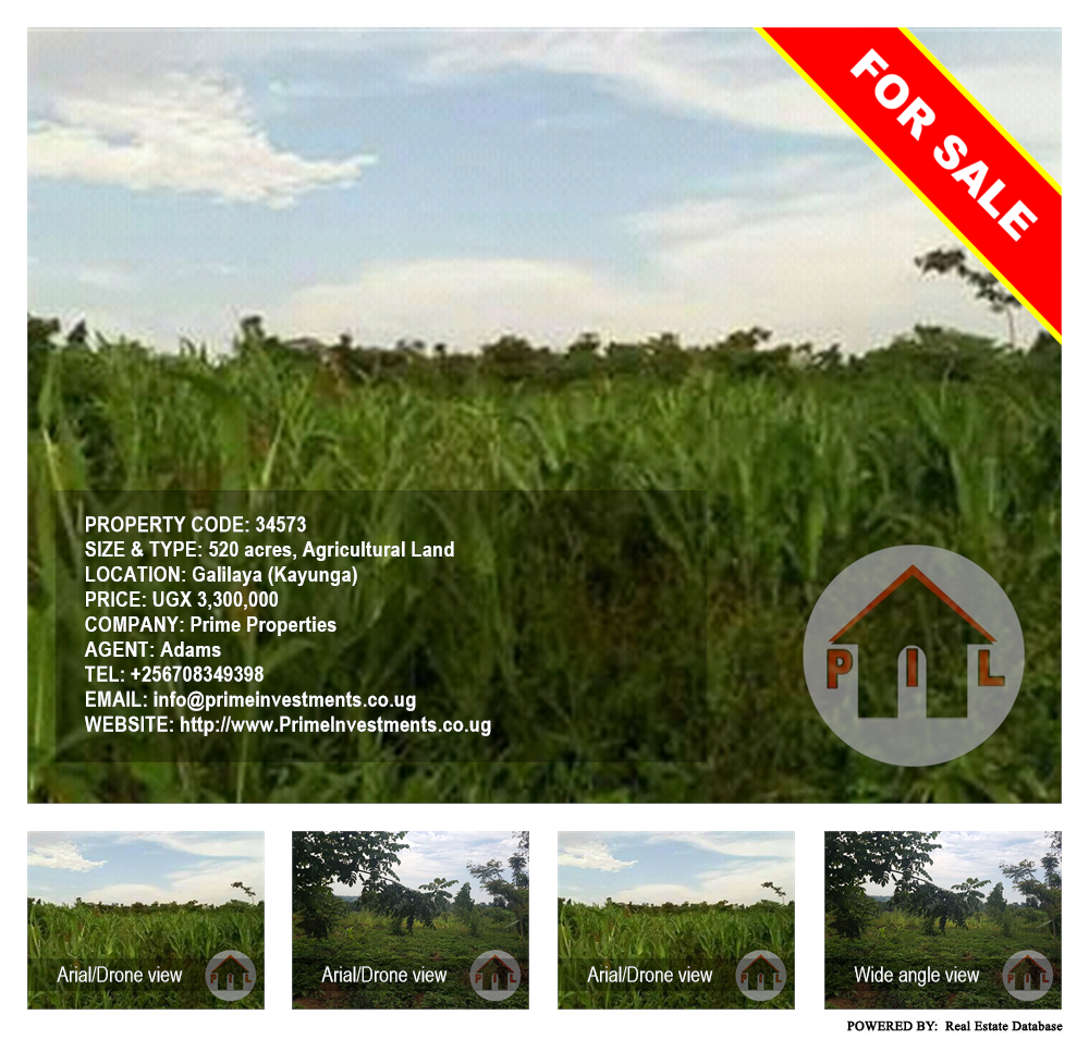 Agricultural Land  for sale in Galilaya Kayunga Uganda, code: 34573