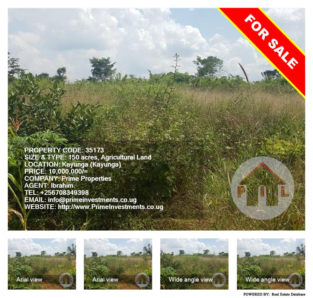 Agricultural Land  for sale in Kayunga Kayunga Uganda, code: 35173
