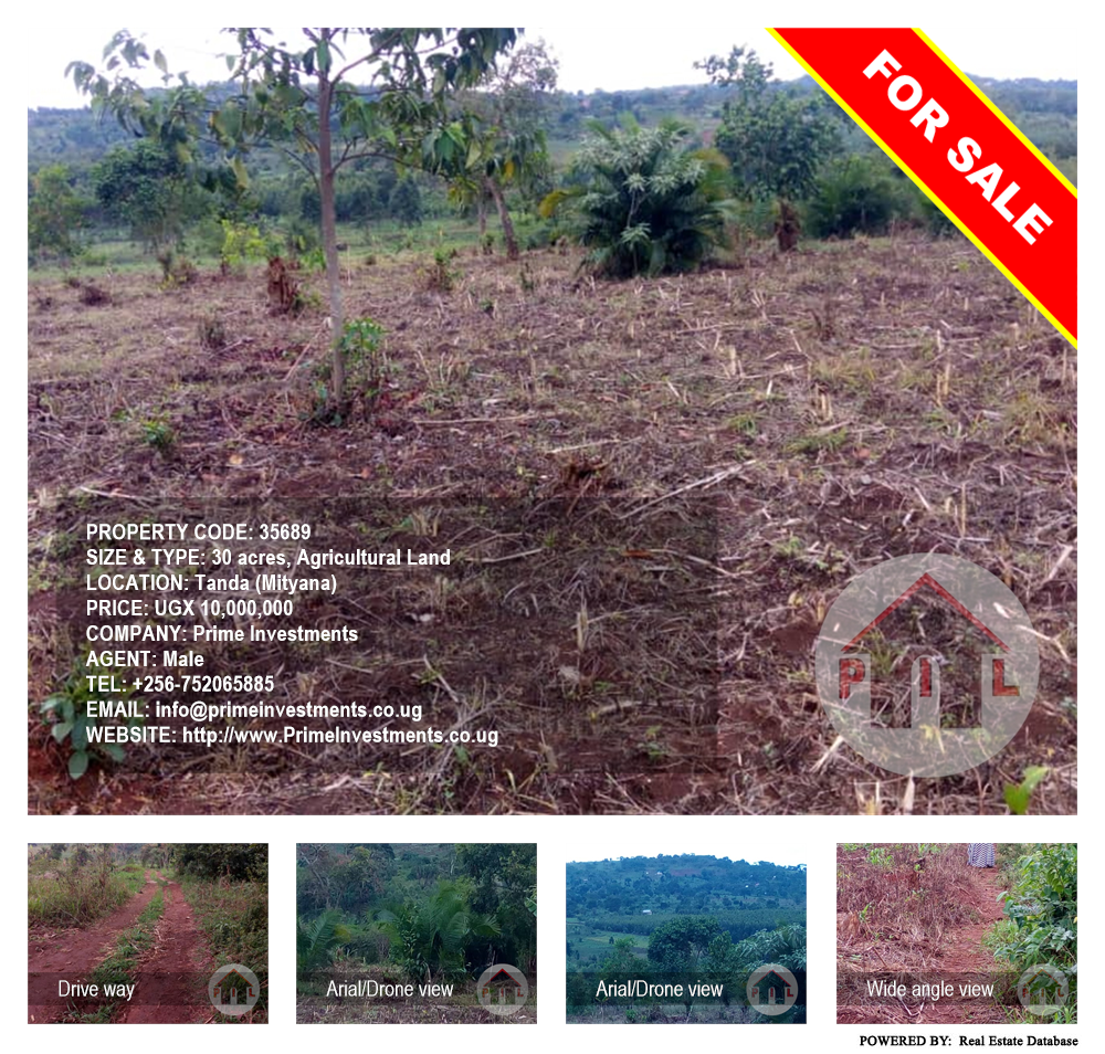 Agricultural Land  for sale in Tanda Mityana Uganda, code: 35689