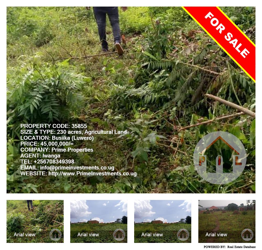 Agricultural Land  for sale in Busiika Luweero Uganda, code: 35855