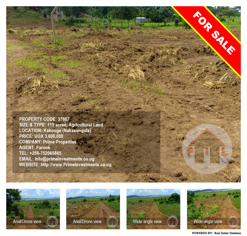 Agricultural Land  for sale in Kakooge Nakasongola Uganda, code: 37607