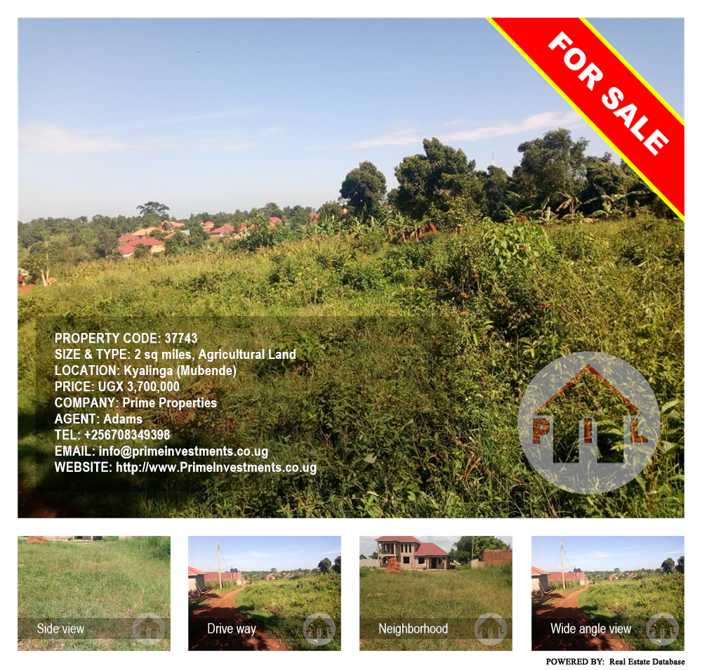 Agricultural Land  for sale in Kyalinga Mubende Uganda, code: 37743