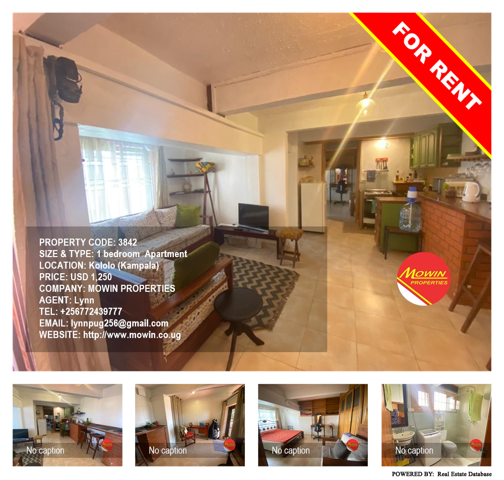 1 bedroom Apartment  for rent in Kololo Kampala Uganda, code: 3842