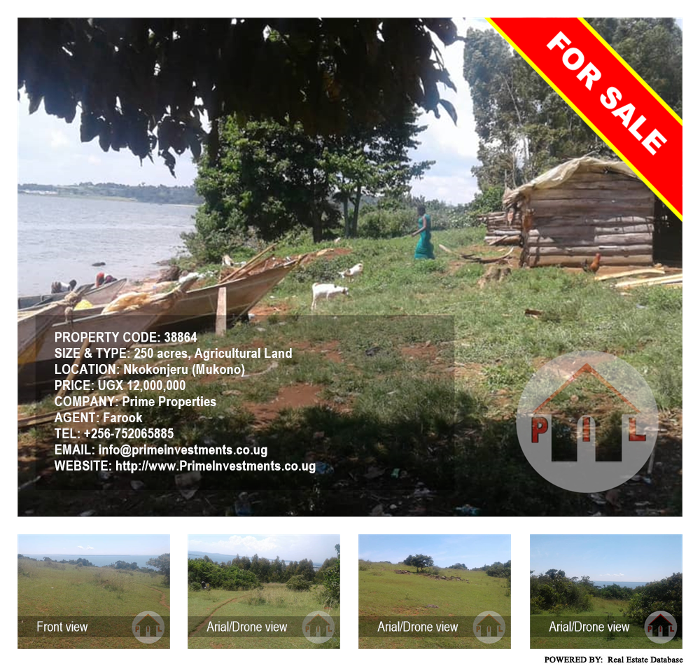 Agricultural Land  for sale in Nkokonjeru Mukono Uganda, code: 38864